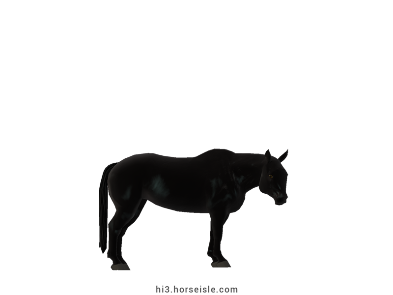 Cow-pony Omby Coal Black Coat